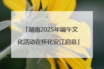 湖南2025年端午文化活动在怀化安江启幕