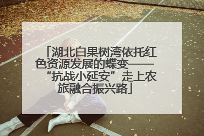 湖北白果树湾依托红色资源发展的蝶变——“抗战小延安”走上农旅融合振兴路