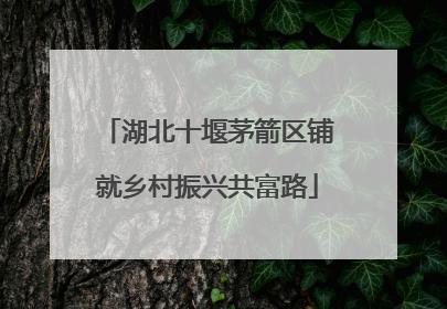 湖北十堰茅箭区铺就乡村振兴共富路