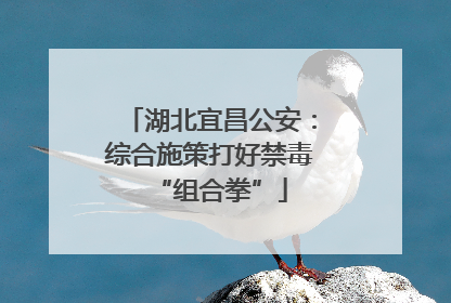 湖北宜昌公安：综合施策打好禁毒“组合拳”