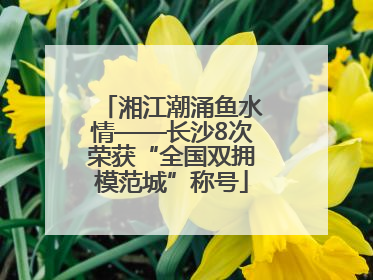 湘江潮涌鱼水情——长沙8次荣获“全国双拥模范城”称号