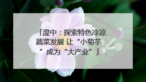 湟中：探索特色冷凉蔬菜发展 让“小菊芋”成为“大产业”