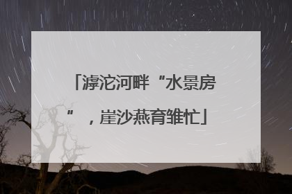 滹沱河畔“水景房”，崖沙燕育雏忙