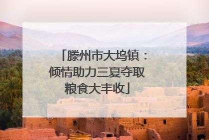 滕州市大坞镇：倾情助力三夏夺取粮食大丰收