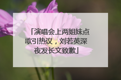 演唱会上两姐妹点歌引热议，刘若英深夜发长文致歉