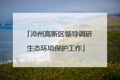 漳州高新区领导调研生态环境保护工作