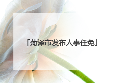 菏泽市发布人事任免