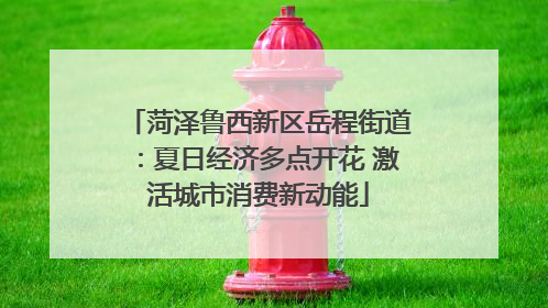 菏泽鲁西新区岳程街道：夏日经济多点开花 激活城市消费新动能