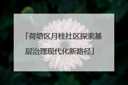 荷塘区月桂社区探索基层治理现代化新路径