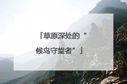 草原深处的“候鸟守望者”