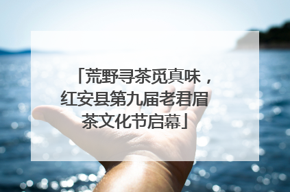 荒野寻茶觅真味，红安县第九届老君眉茶文化节启幕