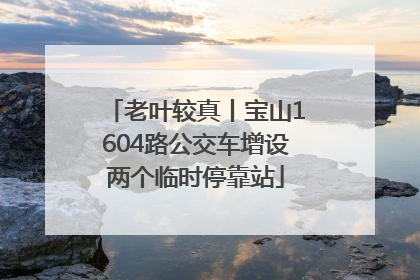 老叶较真丨宝山1604路公交车增设两个临时停靠站