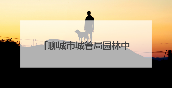 聊城市城管局园林中心：抢抓时机 全面完成道路绿化优化提升