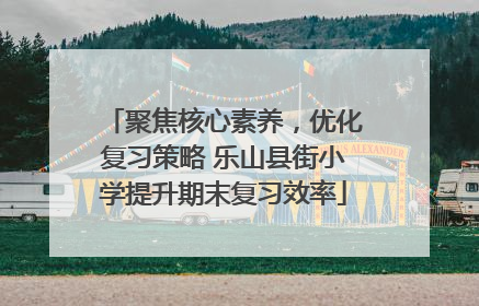 聚焦核心素养，优化复习策略 乐山县街小学提升期末复习效率