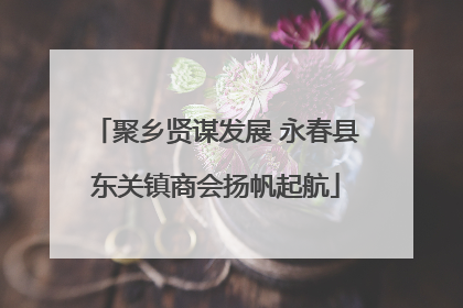 聚乡贤谋发展 永春县东关镇商会扬帆起航