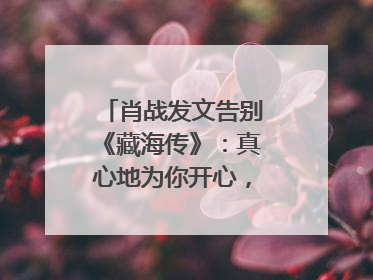 肖战发文告别《藏海传》：真心地为你开心，有这么多人懂你，导演回应“是否有第二季”