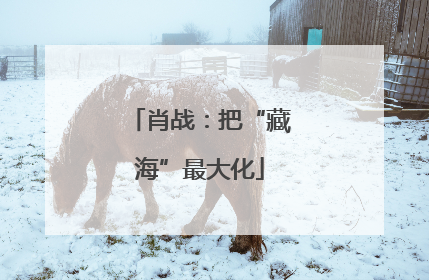 肖战：把“藏海”最大化