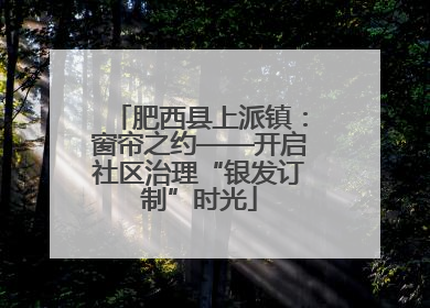 肥西县上派镇：窗帘之约——开启社区治理“银发订制”时光