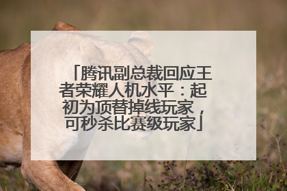 腾讯副总裁回应王者荣耀人机水平：起初为顶替掉线玩家，可秒杀比赛级玩家