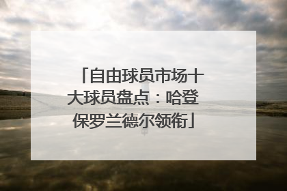 自由球员市场十大球员盘点：哈登保罗兰德尔领衔