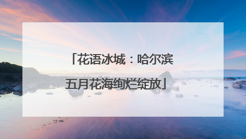 花语冰城：哈尔滨五月花海绚烂绽放