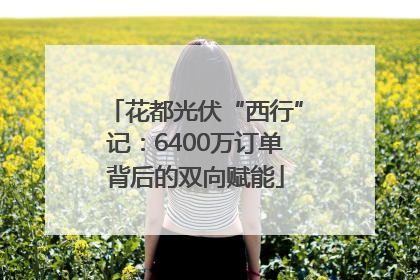 花都光伏“西行”记：6400万订单背后的双向赋能