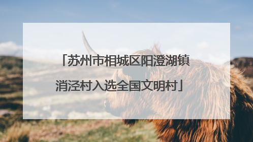 苏州市相城区阳澄湖镇消泾村入选全国文明村