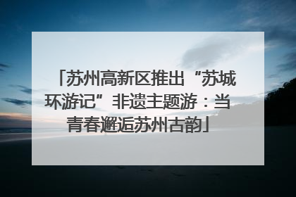 苏州高新区推出“苏城环游记”非遗主题游：当青春邂逅苏州古韵