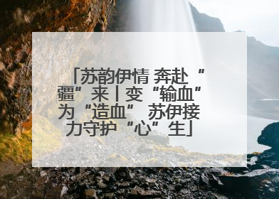 苏韵伊情 奔赴“疆”来丨变“输血”为“造血” 苏伊接力守护“心”生