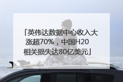 英伟达数据中心收入大涨超70%，中国H20相关损失达80亿美元
