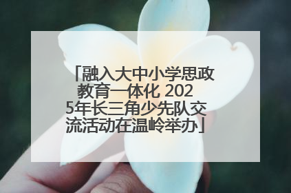 融入大中小学思政教育一体化 2025年长三角少先队交流活动在温岭举办