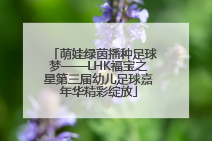 萌娃绿茵播种足球梦——LHK福宝之星第三届幼儿足球嘉年华精彩绽放