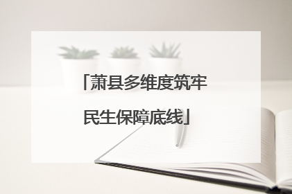 萧县多维度筑牢民生保障底线