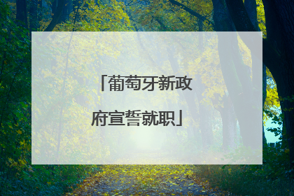 葡萄牙新政府宣誓就职