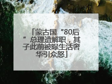 蒙古国“80后”总理遭解职，其子此前被曝生活奢华引众怒