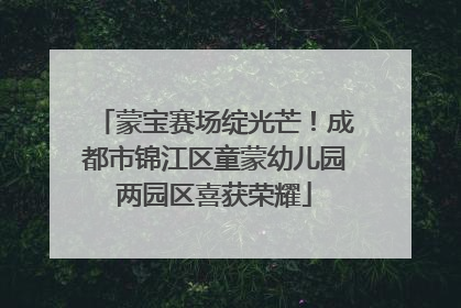 蒙宝赛场绽光芒！成都市锦江区童蒙幼儿园两园区喜获荣耀