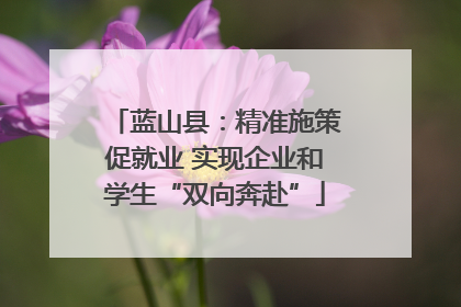 蓝山县：精准施策促就业 实现企业和学生“双向奔赴”