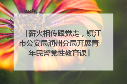薪火相传跟党走，镇江市公安局润州分局开展青年民警党性教育课