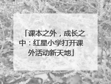 课本之外，成长之中：红星小学打开课外活动新天地