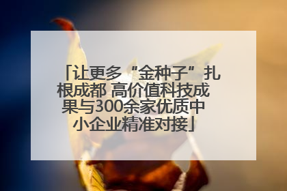 让更多“金种子”扎根成都 高价值科技成果与300余家优质中小企业精准对接