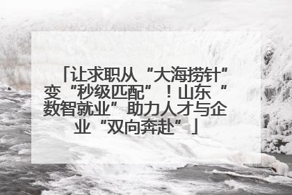 让求职从“大海捞针”变“秒级匹配”！山东“数智就业”助力人才与企业“双向奔赴”