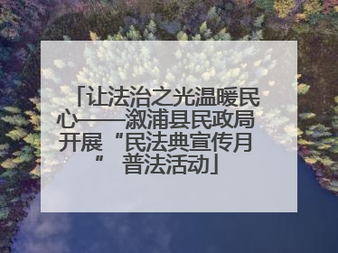 让法治之光温暖民心——溆浦县民政局开展“民法典宣传月” 普法活动