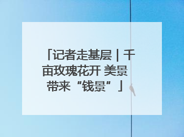 记者走基层｜千亩玫瑰花开 美景带来“钱景”