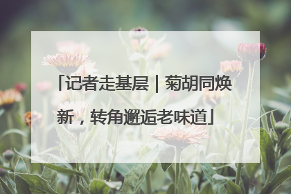 记者走基层｜菊胡同焕新，转角邂逅老味道