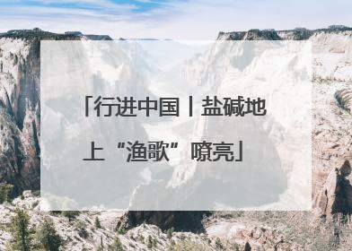 行进中国丨盐碱地上“渔歌”嘹亮
