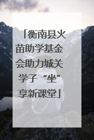 衡南县火苗助学基金会助力城关学子“坐”享新课堂