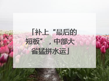 补上“最后的短板”，中部大省猛拼水运