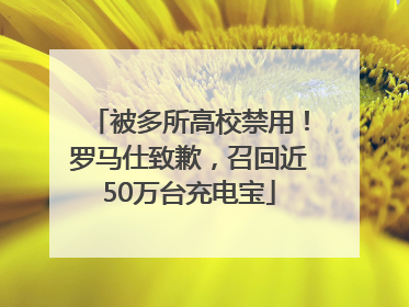 被多所高校禁用！罗马仕致歉，召回近50万台充电宝