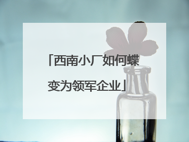 西南小厂如何蝶变为领军企业