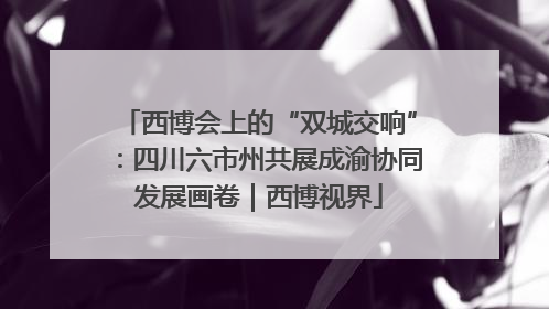 西博会上的“双城交响”:四川六市州共展成渝协同发展画卷|西博视界
